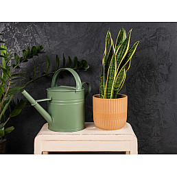 Betonová stěrka 20 Kg - Grafit Betonová stěrka 20 Kg - Grafit