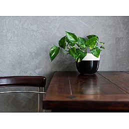 Betonová stěrka 20 Kg - Světle šedá Betonová stěrka 20 Kg - Světle šedá