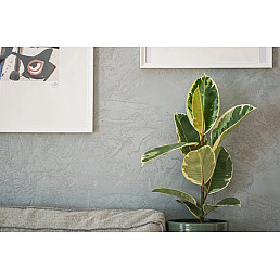 Betonová stěrka 20 Kg - Tmavě šedá Betonová stěrka 20 Kg - Tmavě šedá