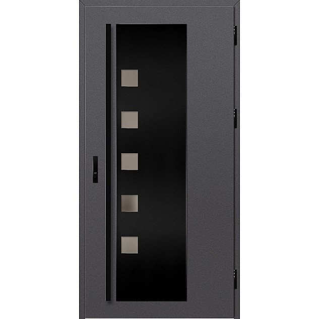 Ocelové vchodové dveře - AMBERG 4 - Hladký Antracit, Label Black Ocelové vchodové dveře ERKADO - AMBERG 4 - Hladký Antracit, Label Black