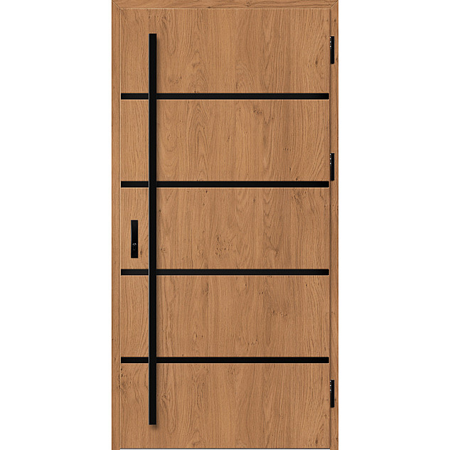 Ocelové vchodové dveře - BIENE 1 - Winchester, Stamp Black Ocelové vchodové dveře ERKADO - BIENE 1 - Winchester, Stamp Black