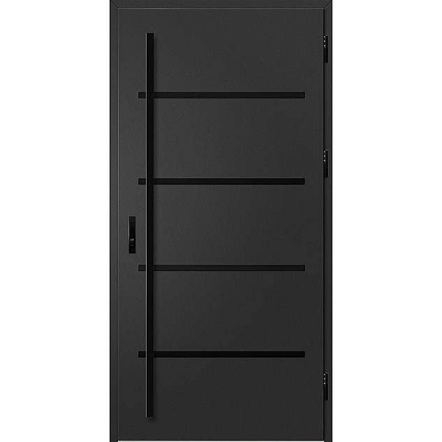 Ocelové vchodové dveře - BIENE 2 - Černá, Label Black Ocelové vchodové dveře ERKADO - BIENE 2 - Černá, Label Black
