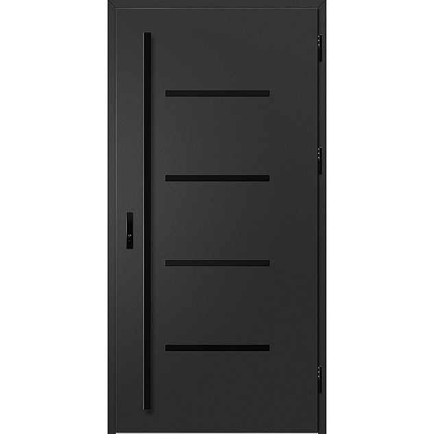 Ocelové vchodové dveře - BIENE 3 - Černá, Label Black Ocelové vchodové dveře ERKADO - BIENE 3 - Černá, Label Black