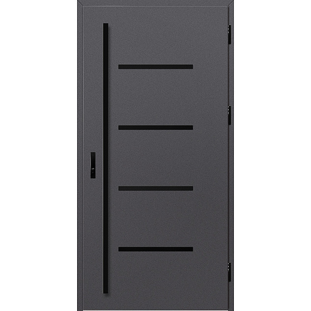 Ocelové vchodové dveře - BIENE 3 - Hladký Antracit, Label Black Ocelové vchodové dveře ERKADO - BIENE 3 - Hladký Antracit, Label Black