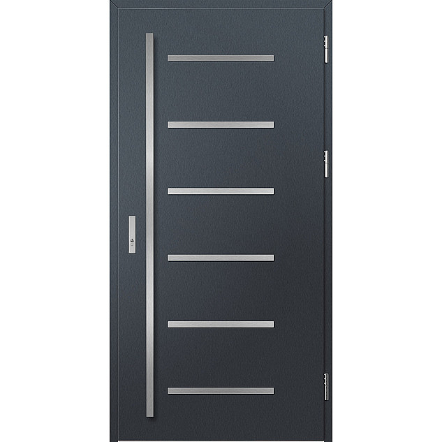 Ocelové vchodové dveře - BIENE 4 - Antracit Struktura, Label Inox Ocelové vchodové dveře ERKADO - BIENE 4 - Antracit Struktura, Label Inox