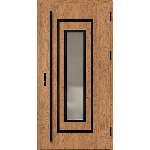 Ocelové vchodové dveře ERKADO - EBERN 1 -  Winchester, Label Black