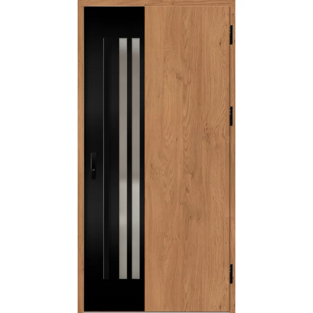 Ocelové vchodové dveře ERKADO - LEIMEN 3 -  Winchester, Label Black