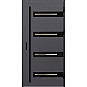 Ocelové vchodové dveře - LEOBEN 2 - Hladký Antracit, Label Black Ocelové vchodové dveře ERKADO - LEOBEN 2 - Hladký Antracit, Label Black