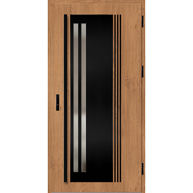 Ocelové vchodové dveře ERKADO - LINDEN 5 -  Winchester, Label Black