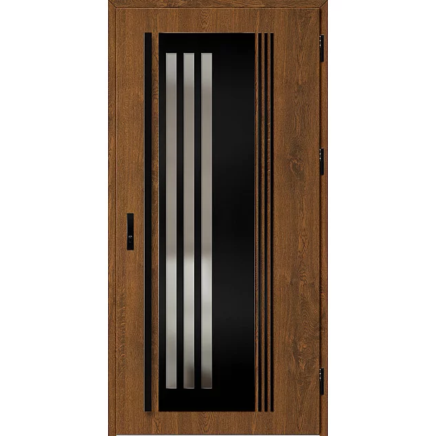 Ocelové vchodové dveře ERKADO - LINDEN 6 - Ořech, Label Black