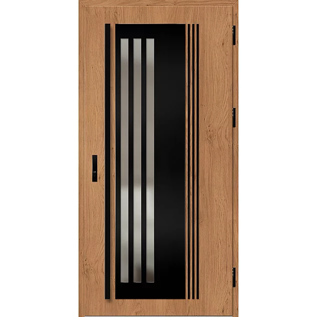 Ocelové vchodové dveře ERKADO - LINDEN 6 -  Winchester, Label Black