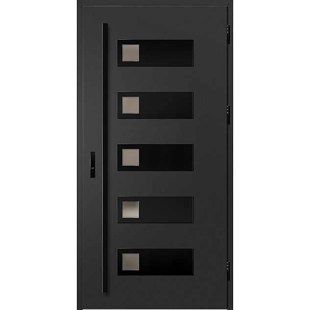 Ocelové vchodové dveře - SAMEDAN 1 - Černá, Label Black Ocelové vchodové dveře ERKADO - SAMEDAN 1 - Černá, Label Black