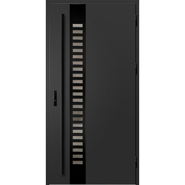 Ocelové vchodové dveře - SELTERS 2 - Černá, Label Black Ocelové vchodové dveře ERKADO - SELTERS 2 - Černá, Label Black