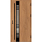 Ocelové vchodové dveře - SELTERS 3 - Winchester, Label Black Ocelové vchodové dveře ERKADO - SELTERS 3 - Winchester, Label Black