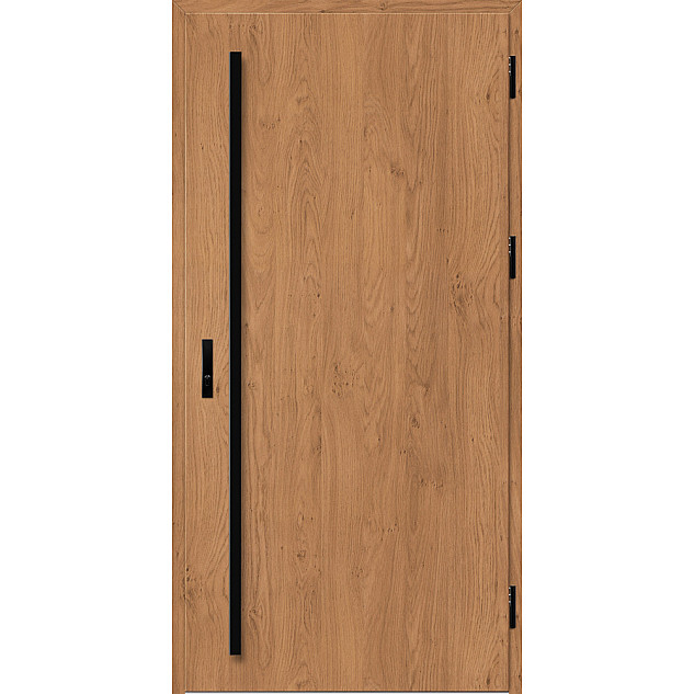 Ocelové vchodové dveře - SOLID - Winchester Ocelové vchodové dveře ERKADO - SOLID - Winchester