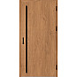 Ocelové vchodové dveře - SOLID - Winchester Ocelové vchodové dveře ERKADO - SOLID - Winchester