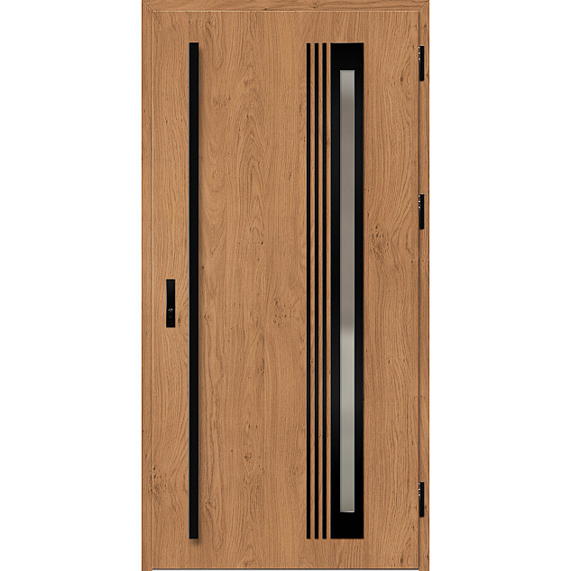 Ocelové vchodové dveře - TREBUR 6 - Winchester, Label Black Ocelové vchodové dveře ERKADO - TREBUR 6 - Winchester, Label Black