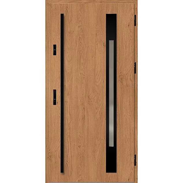 Ocelové vchodové dveře ERKADO - WELS 3 -  Winchester, Label Black