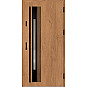 Ocelové vchodové dveře - WELS 4 - Winchester, Label Black Ocelové vchodové dveře ERKADO - WELS 4 - Winchester, Label Black