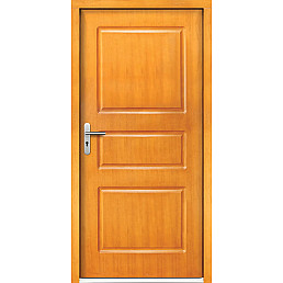 Venkovní vchodové dveře P1