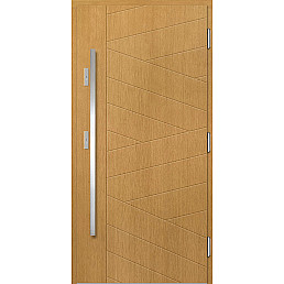 Venkovní vchodové dveře P160