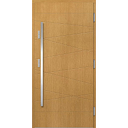 Venkovní vchodové dveře P161