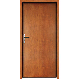 Venkovní vchodové dveře P18