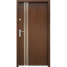 Venkovní vchodové dveře P58