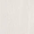 Borovice bílá 3D Greko  + 182 Kč 